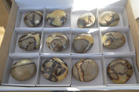 Polished Septerye Galet / Palm Stones x 12 From Mahajanga, Madagascar