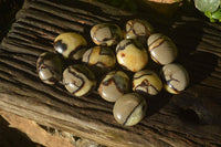 Polished Septerye Galet / Palm Stones x 12 From Mahajanga, Madagascar