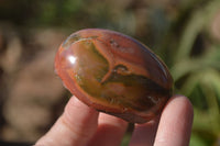 Polished On One Side Polychrome Jasper Nodules x 12 From Mahajanga, Madagascar