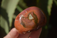 Polished On One Side Polychrome Jasper Nodules x 12 From Mahajanga, Madagascar