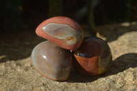 Polished On One Side Polychrome Jasper Nodules x 12 From Mahajanga, Madagascar