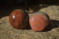 Polished On One Side Polychrome Jasper Nodules x 12 From Mahajanga, Madagascar