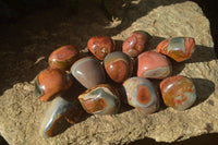 Polished On One Side Polychrome Jasper Nodules x 12 From Mahajanga, Madagascar