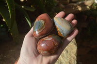 Polished On One Side Polychrome Jasper Nodules x 12 From Mahajanga, Madagascar