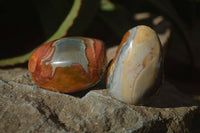 Polished On One Side Polychrome Jasper Nodules x 12 From Mahajanga, Madagascar