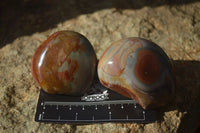 Polished On One Side Polychrome Jasper Nodules x 12 From Mahajanga, Madagascar