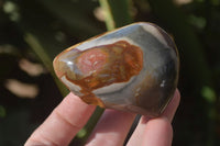 Polished On One Side Polychrome Jasper Nodules x 12 From Mahajanga, Madagascar