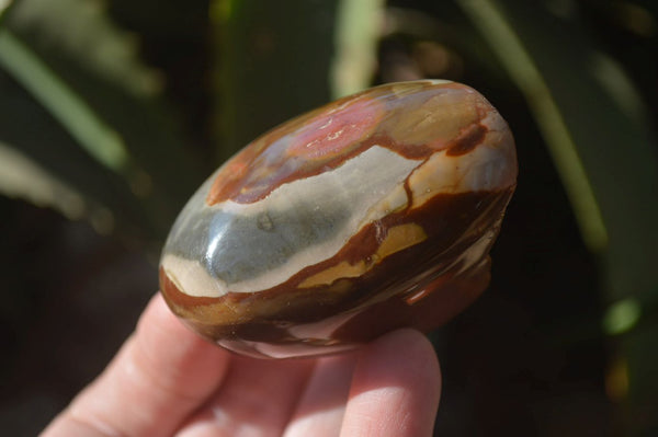 Polished On One Side Polychrome Jasper Nodules x 12 From Mahajanga, Madagascar