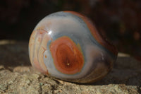 Polished On One Side Polychrome Jasper Nodules x 12 From Mahajanga, Madagascar