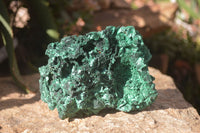 Natural Silky Malachite Specimens x 2 From Kasompe, Congo