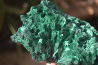 Natural Silky Malachite Specimens x 2 From Kasompe, Congo