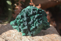 Natural Silky Malachite Specimens x 2 From Kasompe, Congo