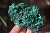 Natural Silky Malachite Specimens x 2 From Kasompe, Congo