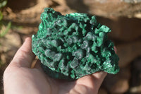 Natural Silky Malachite Specimens x 2 From Kasompe, Congo