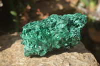 Natural Silky Malachite Specimens x 2 From Kasompe, Congo