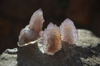 Natural Amethyst Spirit Quartz Single Crystals x 35 From Boekenhouthoek, South Africa