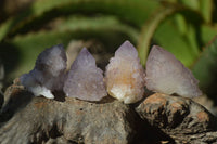 Natural Amethyst Spirit Quartz Single Crystals x 35 From Boekenhouthoek, South Africa