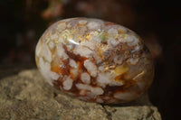 Polished Ocean Flower Agate Galet / Palm Stones x 12 From Antsahalova, Madagascar