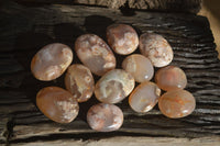 Polished Ocean Flower Agate Galet / Palm Stones x 12 From Antsahalova, Madagascar