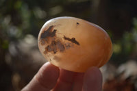 Polished Ocean Flower Agate Galet / Palm Stones x 12 From Antsahalova, Madagascar