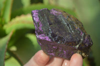 Natural Metallic Purpurite Cobbed Specimens x 12 From Erongo, Namibia