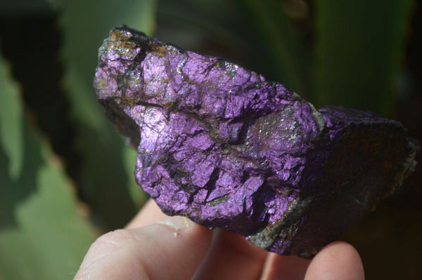 Natural Metallic Purpurite Cobbed Specimens x 12 From Erongo, Namibia