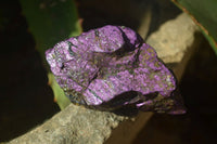 Natural Metallic Purpurite Cobbed Specimens x 12 From Erongo, Namibia