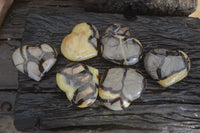 Polished Septerye Hearts x 6 From Mahajanga, Madagascar