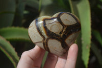 Polished Septerye Hearts x 6 From Mahajanga, Madagascar