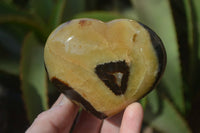 Polished Septerye Hearts x 6 From Mahajanga, Madagascar