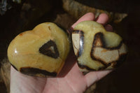 Polished Septerye Hearts x 6 From Mahajanga, Madagascar