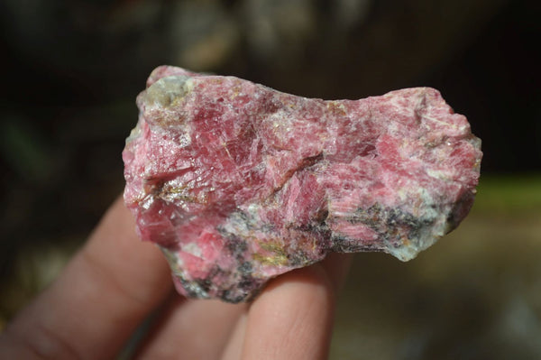 Natural Rhodonite Cobbed Specimens x 12 From Zimbabwe