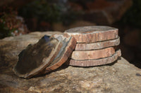 Polished Petrified Wood Slices x 6 From Gokwe, Zimbabwe