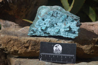 Natural Chrysocolla & Malachite Dolomite Specimen x 1 From Likasi, Congo