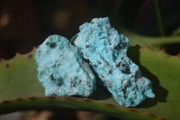 Natural Chrysocolla & Malachite Dolomite Specimens x 15 From Likasi, Congo