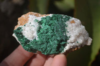 Natural Chrysocolla & Malachite Dolomite Specimens x 15 From Likasi, Congo