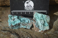 Natural Chrysocolla & Malachite Dolomite Specimens x 15 From Likasi, Congo