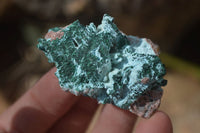 Natural Chrysocolla & Malachite Dolomite Specimens x 15 From Likasi, Congo