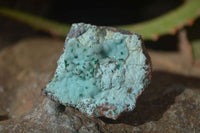 Natural Chrysocolla & Malachite Dolomite Specimens x 15 From Likasi, Congo