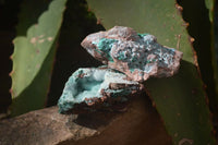 Natural Chrysocolla & Malachite Dolomite Specimens x 15 From Likasi, Congo