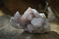 Natural Amethyst / Ametrine Spirit Quartz Clusters x 6 From Boekenhouthoek, South Africa