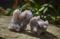 Natural Amethyst / Ametrine Spirit Quartz Clusters x 6 From Boekenhouthoek, South Africa