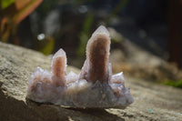 Natural Amethyst / Ametrine Spirit Quartz Clusters x 6 From Boekenhouthoek, South Africa