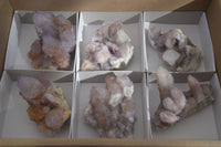 Natural Amethyst / Ametrine Spirit Quartz Clusters x 6 From Boekenhouthoek, South Africa