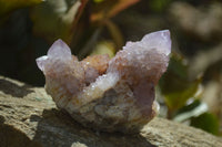 Natural Amethyst / Ametrine Spirit Quartz Clusters x 6 From Boekenhouthoek, South Africa