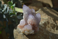 Natural Amethyst / Ametrine Spirit Quartz Clusters x 6 From Boekenhouthoek, South Africa