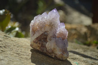 Natural Amethyst / Ametrine Spirit Quartz Clusters x 6 From Boekenhouthoek, South Africa