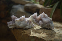 Natural Amethyst / Ametrine Spirit Quartz Clusters x 6 From Boekenhouthoek, South Africa