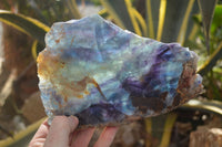 Polished Watermelon Fluorite Slice x 1 From Uis, Namibia