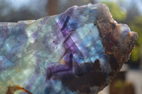 Polished Watermelon Fluorite Slice x 1 From Uis, Namibia